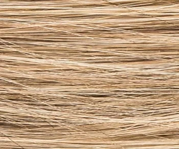 Accessories_Ellen Wille_Ladies Wigs Apart Mono wig - Ellen Wille Hairpower Collection