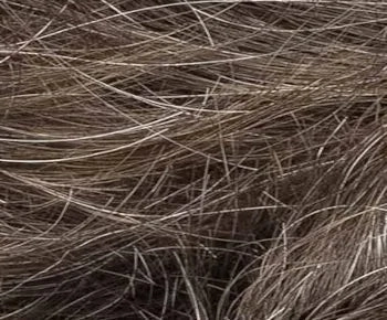 Accessories_Ellen Wille_Ladies Wigs Bari Mono wig - Ellen Wille Modixx Collection