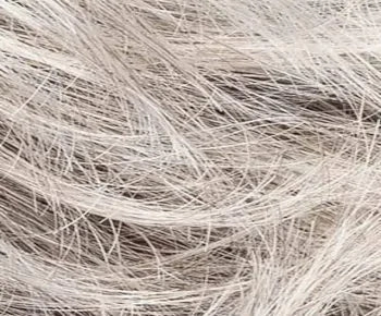 Accessories_Ellen Wille_Ladies Wigs Bari wig - Ellen Wille Modixx Collection