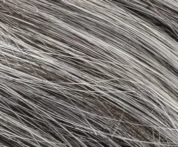 Accessories_Ellen Wille_Ladies Wigs Bari wig - Ellen Wille Modixx Collection