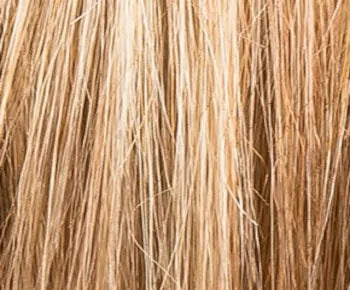 Accessories_Ellen Wille_Ladies Wigs Delight Heat Friendly wig - Ellen Wille Changes Collection