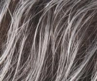 Accessories_Ellen Wille_Ladies Wigs Link Mono Part wig - Ellen Wille Perucci Collection