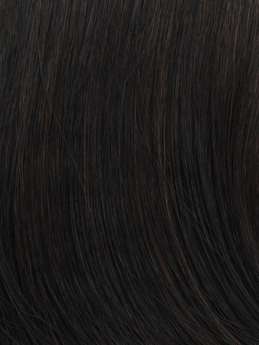 Accessories_Gabor_Wigs Hairpieces Chic Choice | Synthetic Wig (Basic Cap)