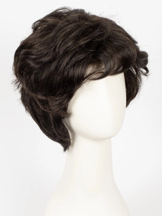 Accessories_Gabor_Wigs Hairpieces Dream Do | Synthetic Lace Front Wig | CLOSEOUT