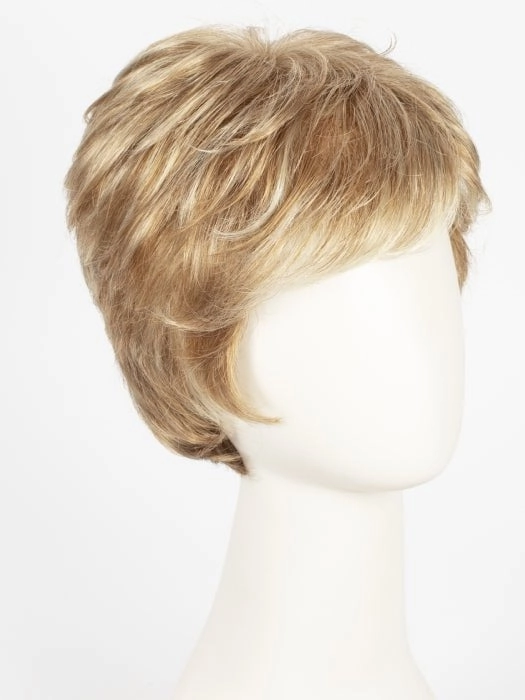 Accessories_Gabor_Wigs Hairpieces Incentive | Synthetic Wig (Mono Top)