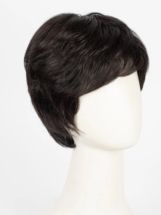 Accessories_Gabor_Wigs Hairpieces Incentive Petite | Synthetic Wig (Mono Top)