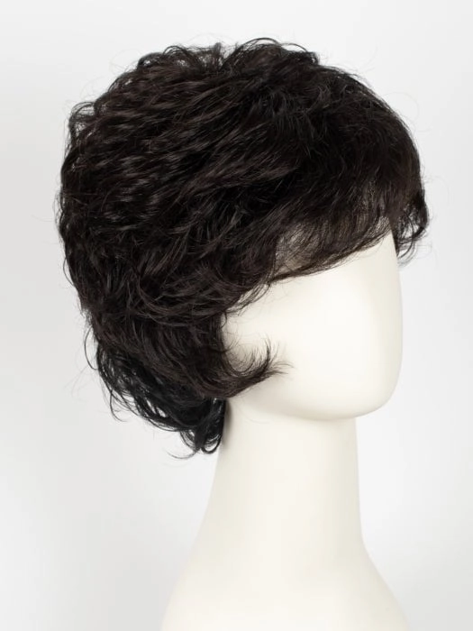 Accessories_Gabor_Wigs Hairpieces Sensation | Synthetic Wig (Basic Cap)