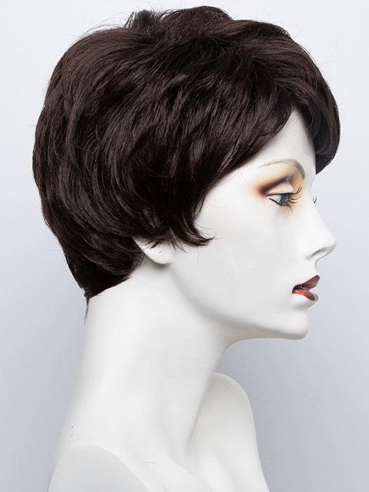 Amy | Synthetic Wig (Basic Cap)