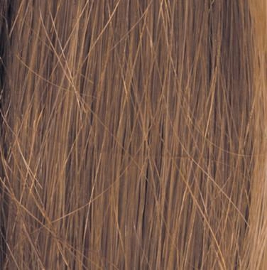 Applause Wig by Raquel Welch Wig by Raquel Welch | Human Hair (Lace Front Mono Top)