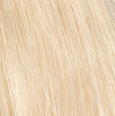 Applause Wig by Raquel Welch Wig by Raquel Welch | Human Hair (Lace Front Mono Top)