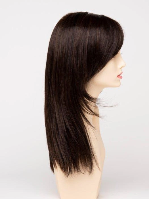 Ava | Lace Front Human Hair/ Synthetic Blend Wig