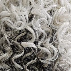 Big Spender Wig by Raquel Welch | Synthetic Lace Front