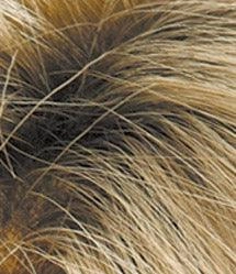 Brady Wig by Estetica Designs | Synthetic (Basic Cap)