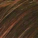 Charlotte Wig by Envy | Synthetic (Lace Front Mono)