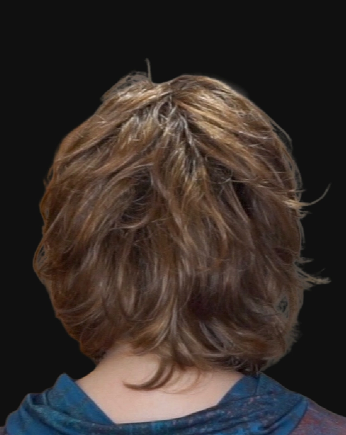 Debutante Wig by Gabor | Synthetic Hair | Average Cap