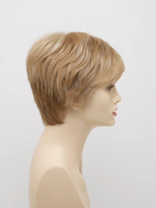 Destiny | Human Hair/ Synthetic Blend Wig (Mono Top)