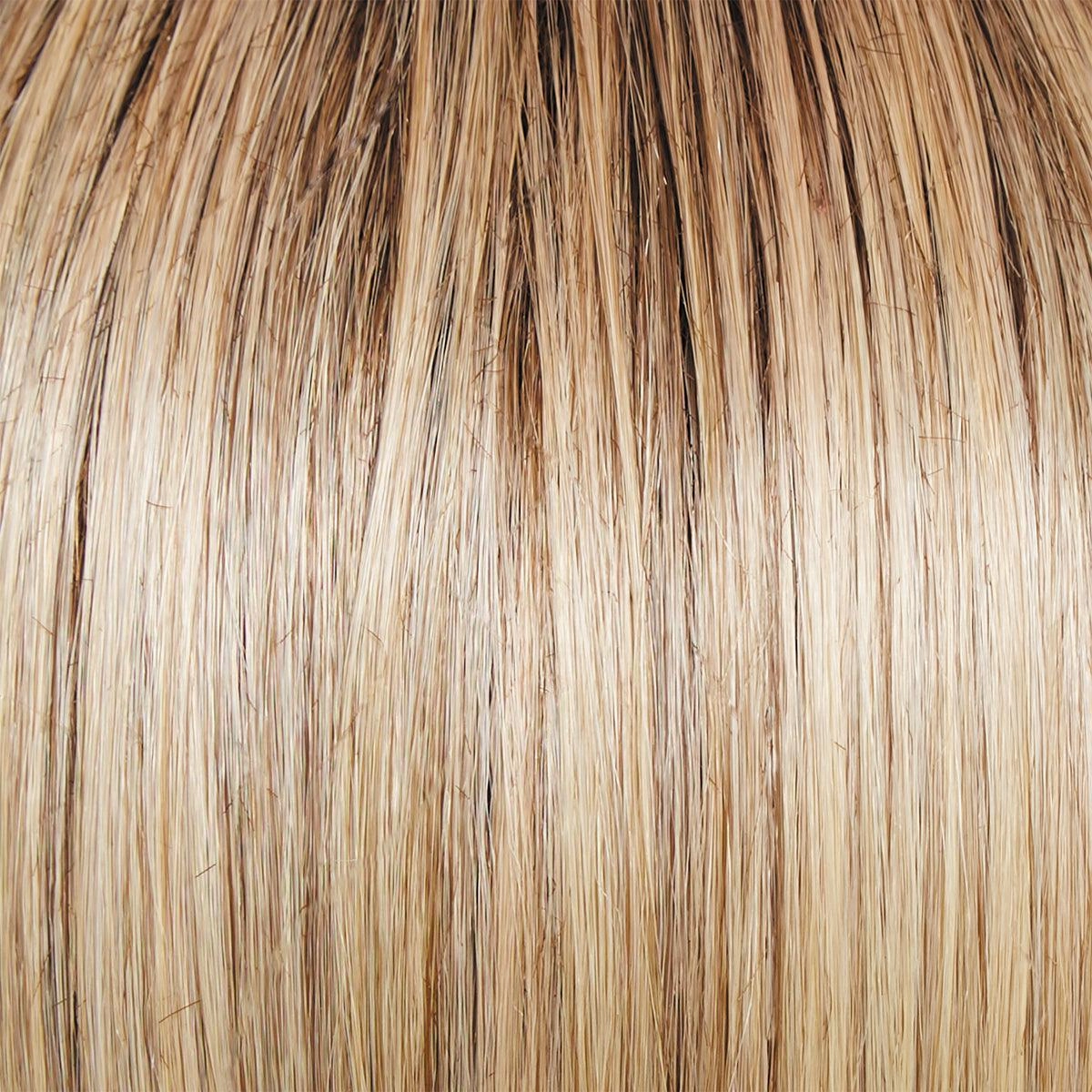 Editor's Pick Elite Wig by Raquel Welch | 100% Hand Tied Heat Friendly Synthetic Lace Front (Mono)