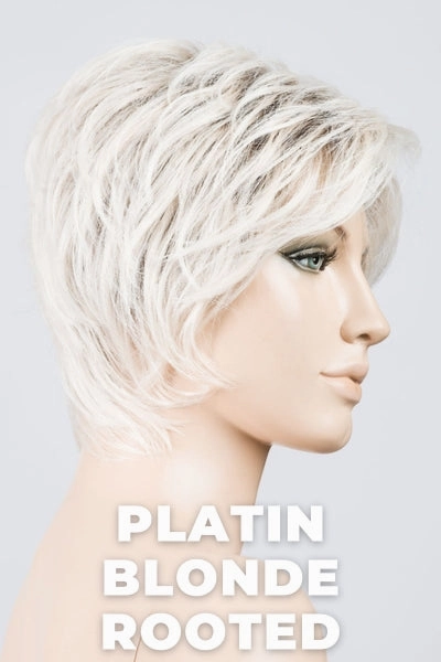 Ellen Wille Wigs - Cover