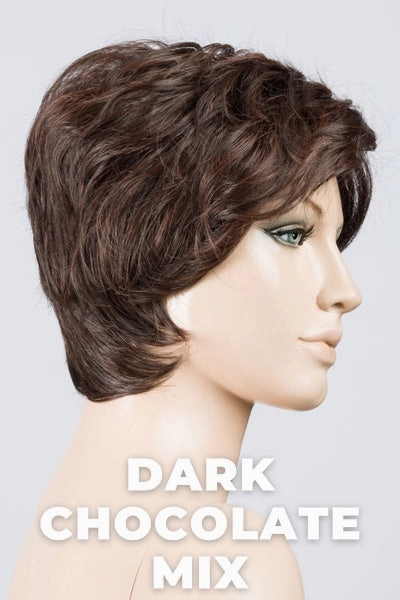 Ellen Wille Wigs - Cover