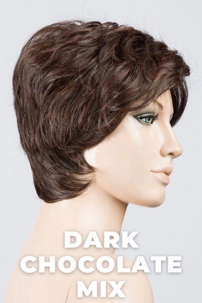 Ellen Wille Wigs - Cover