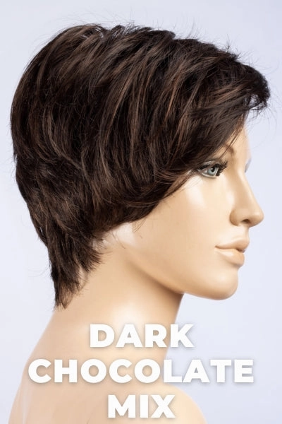 Ellen Wille Wigs - First