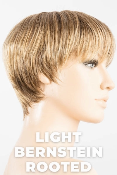 Ellen Wille Wigs - Tool