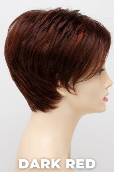 Envy Wigs - Shari (Large)