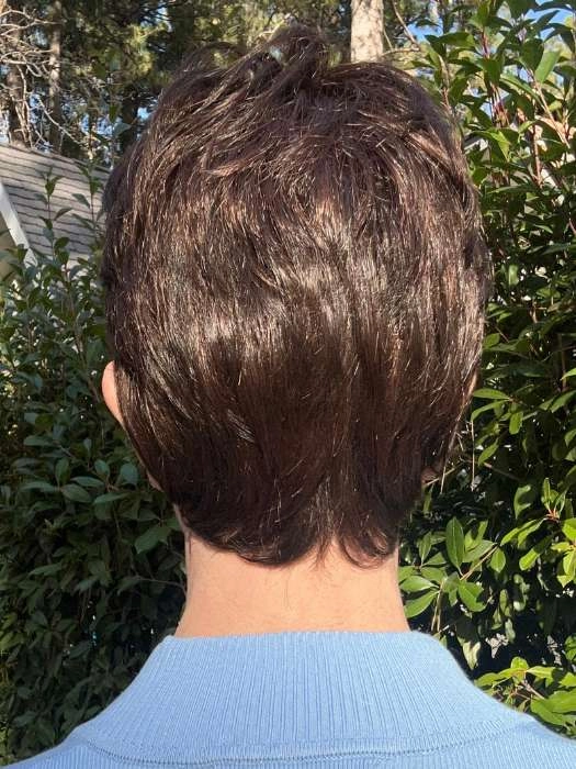 Estate | Synthetic Lace Front Wig (Mono Top)