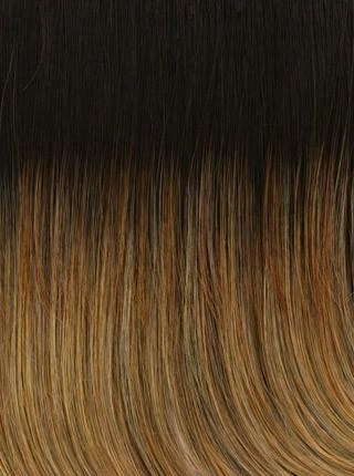 Fanfare Wig by Raquel Welch | Heat Friendly Synthetic (Lace Front Mono Top)