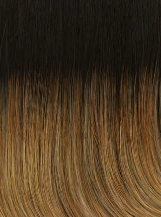 Fascination Wig by Raquel Welch | Heat Friendly Synthetic (Traditional Cap)