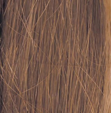 Headliner Wig by Raquel Welch | Human Hair (100% Hand-Knotted Lace Front Mono Top)