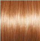 High Society Wig by Gabor | Synthetic (Lace Front Mono Part)