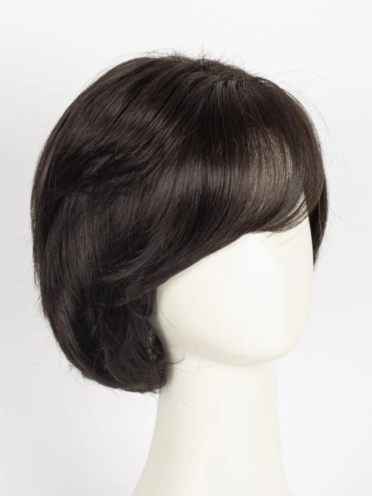 Hillary | Synthetic Lace Front Wig (Basic Cap)