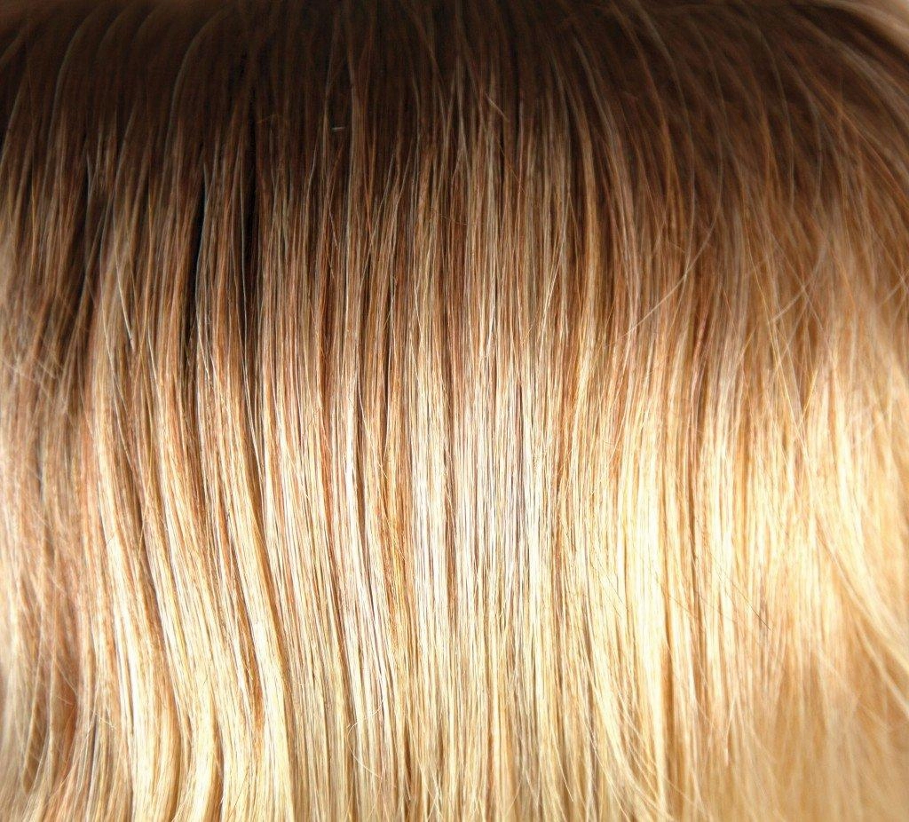 India Wig by Rene of Paris | Synthetic (Lace Front Cap)