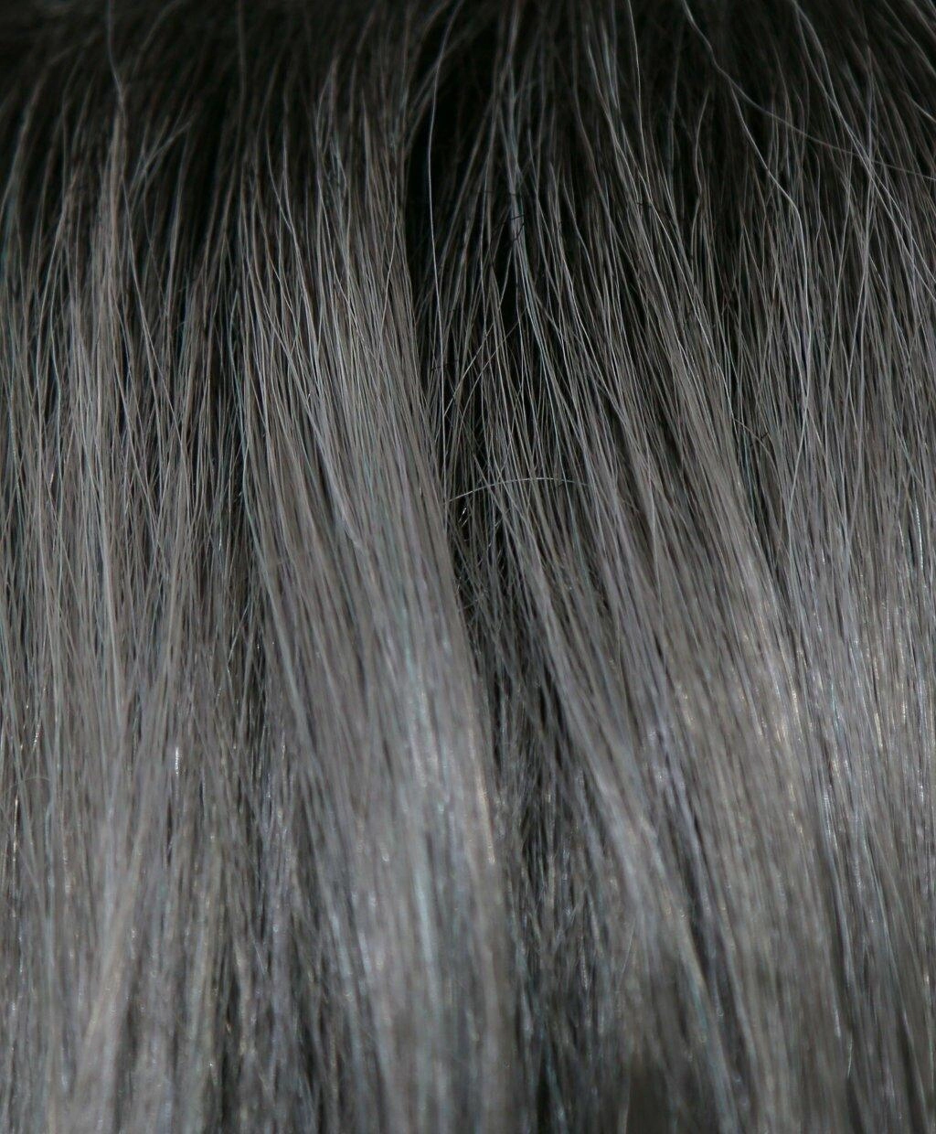 India Wig by Rene of Paris | Synthetic (Lace Front Cap)