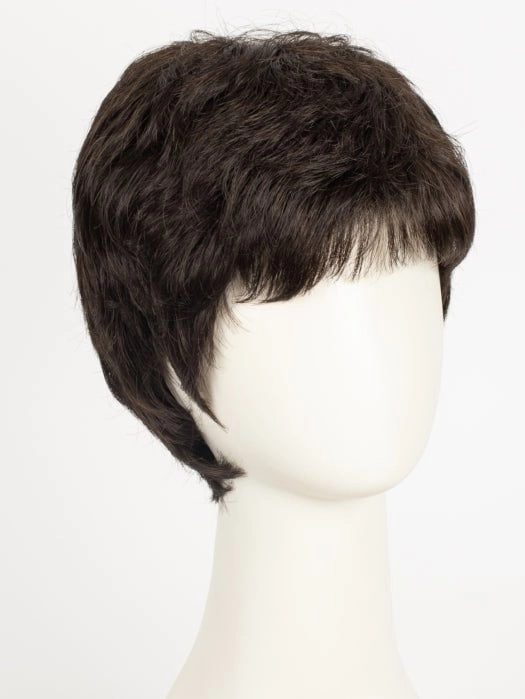 Jamie | Synthetic Wig (Basic Cap)