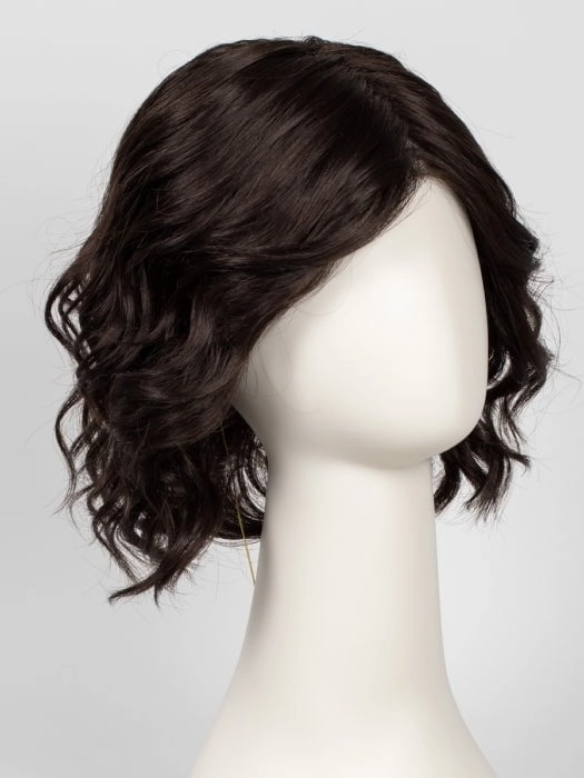 January | Synthetic Lace Front Wig (Mono Top)