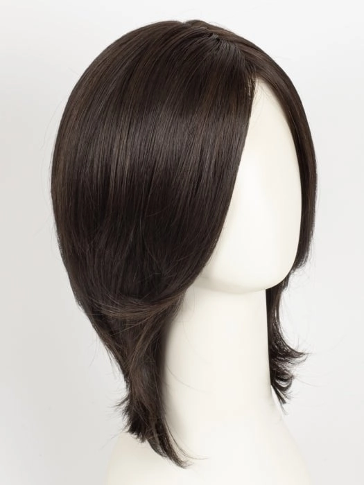 Luxe Sleek | Synthetic Lace Front Wig (Lace Part)