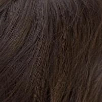 Mariah wig - Noriko