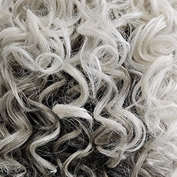 Monologue Wig by Raquel Welch | Heat Friendly Synthetic (Lace Front Mono)