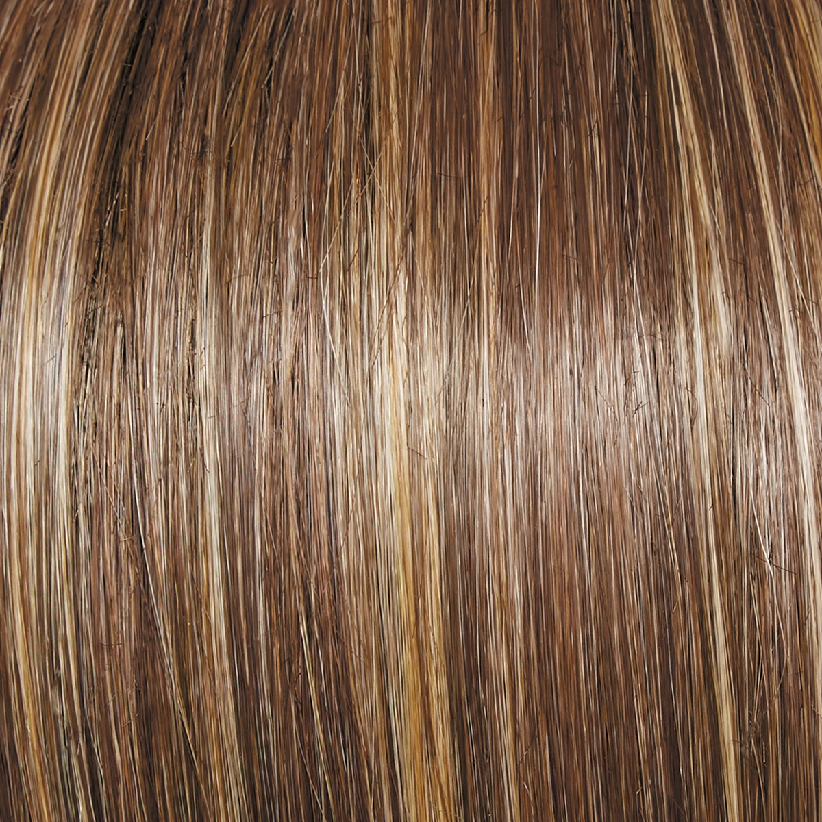Monologue Wig by Raquel Welch | Heat Friendly Synthetic (Lace Front Mono)
