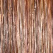 On The Cover Wig by Raquel Welch | Heat Friendly Synthetic (Lace Front Mono)