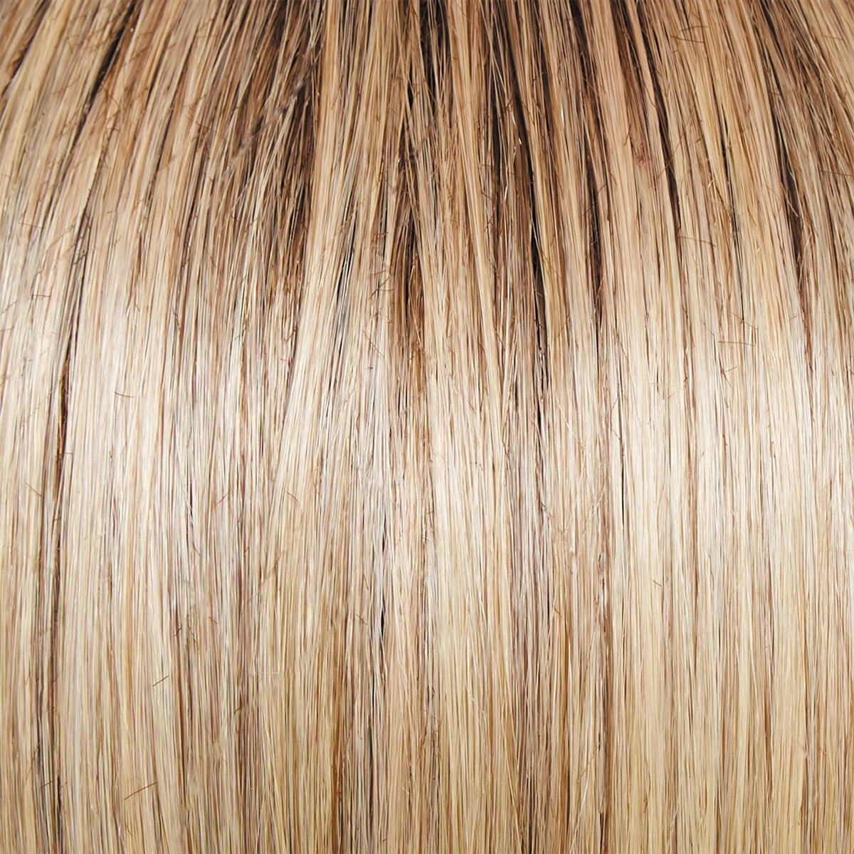 On The Cover Wig by Raquel Welch | Heat Friendly Synthetic (Lace Front Mono)