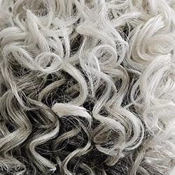 On The Cover Wig by Raquel Welch | Heat Friendly Synthetic (Lace Front Mono)