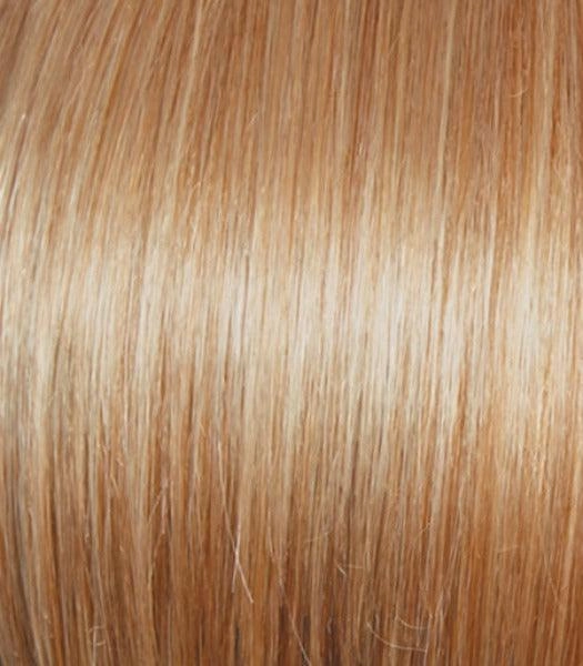 Out The Door Wig by Gabor | Heat Friendly Synthetic (Lace Front Mono)