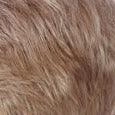 Perry Wig by Estetica Designs | Synthetic (Lace Front)