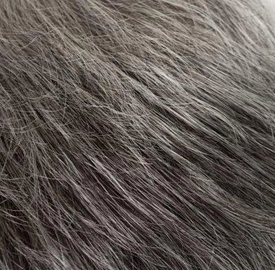 Petite Fina Wig by Tony of Beverly | Synthetic Wig (Traditional Cap)