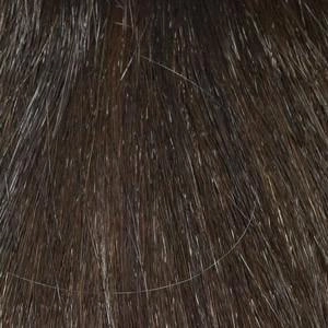 Petite Penelope Wig by Envy | Synthetic (Open Top)