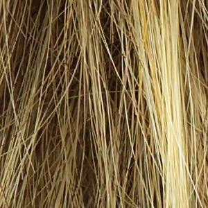 Play it Straight Wig by Raquel Welch | Synthetic (Lace Front Mono Part)