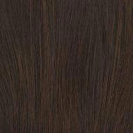 Portrait Mode wig - Raquel Welch